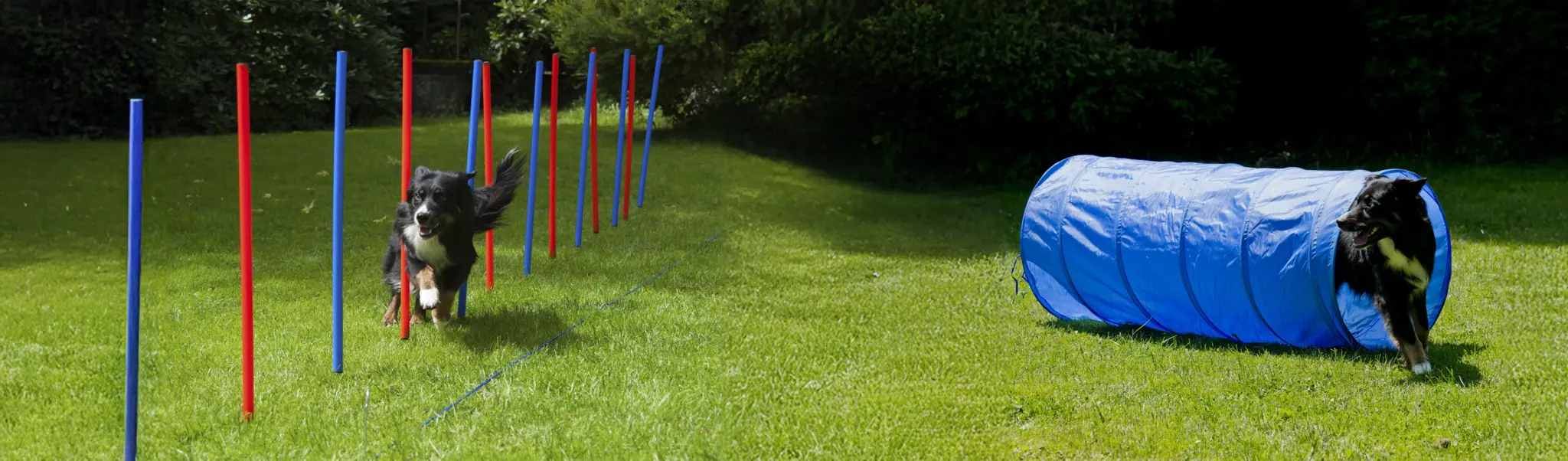 agility1