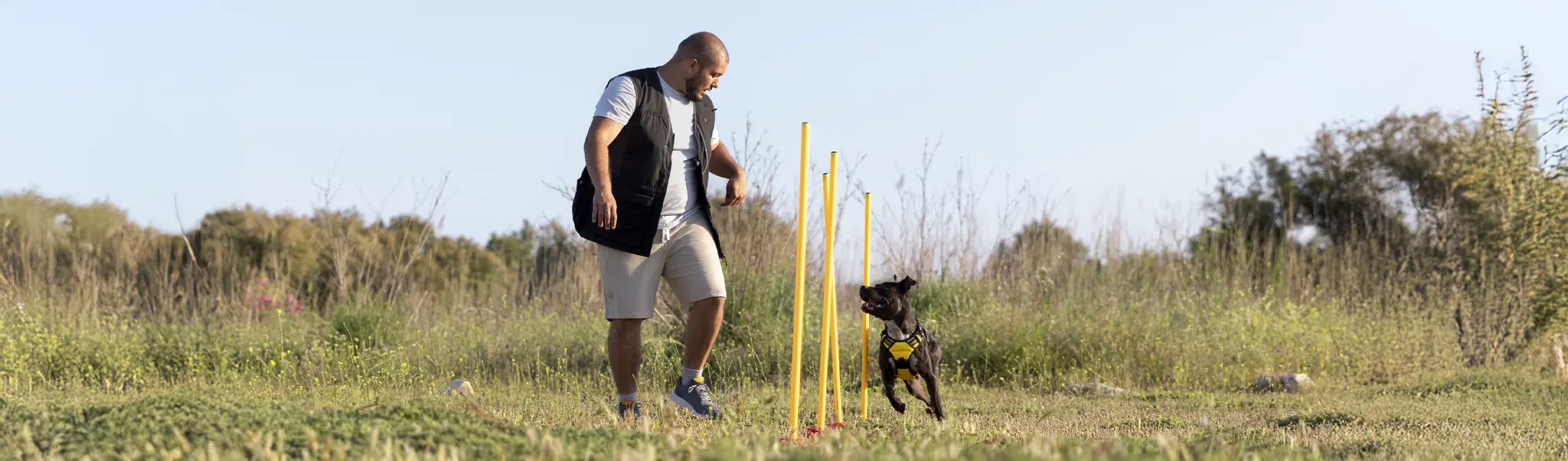 agility 2