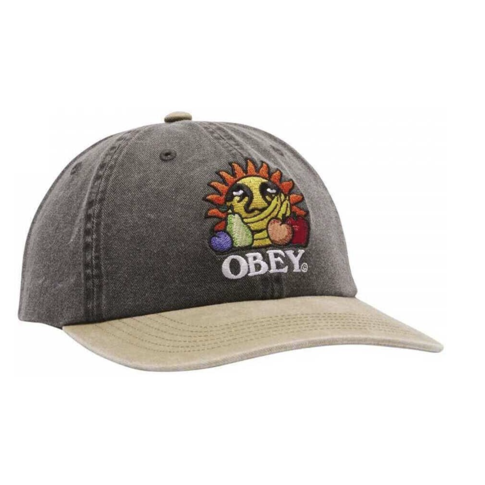 OBEY OBEY PIGMENT FRUITS 6 PANEL BLACK