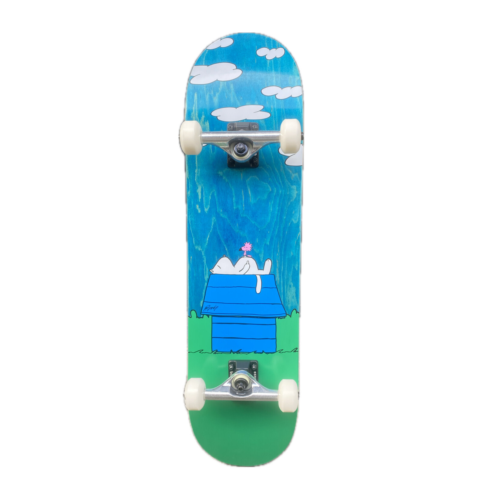 RIPNDIP RipnDip - Complete skateboard - Not Today  8.0