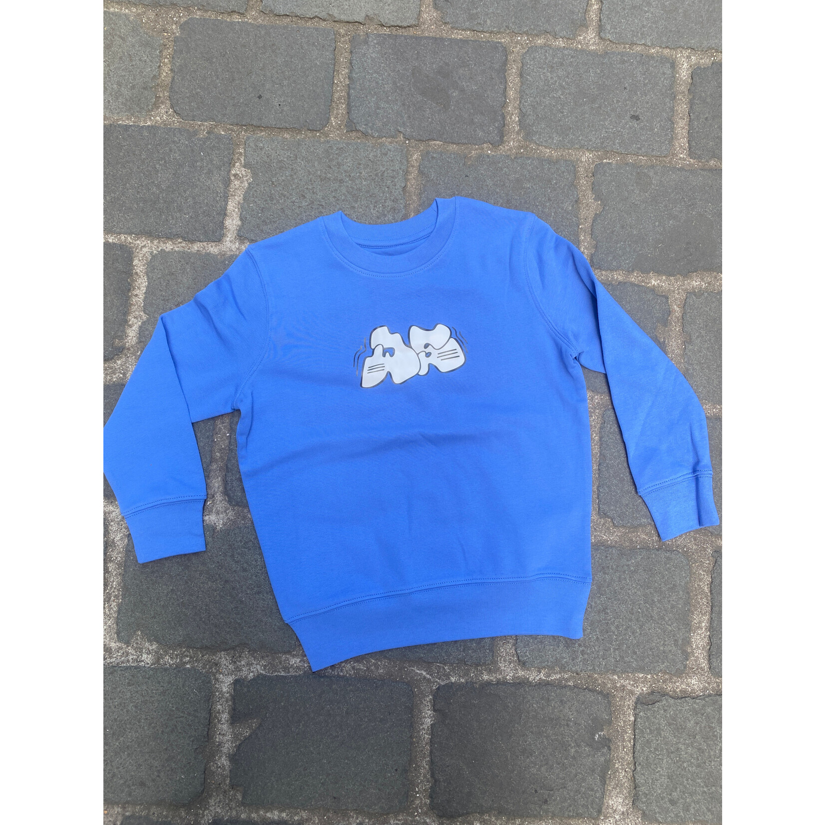 WILD STYLE WILD STYLE KIDS CREWN THROW BLUE