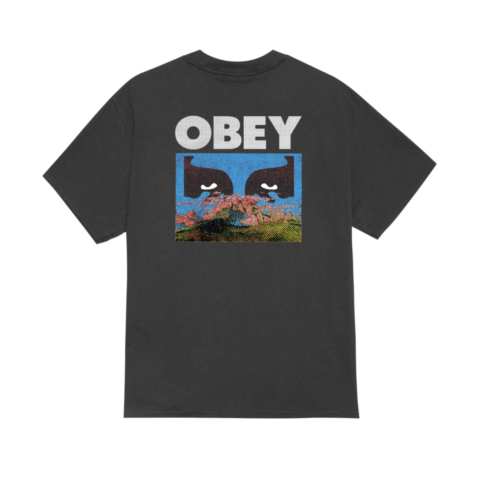 OBEY OBEY DIFFERENT PLACE TEE VINTAGE BLACK
