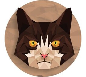 Miauw & Woeff Miauw & Woeff