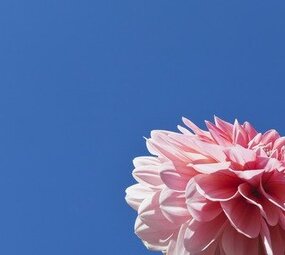 Pink space Pink space