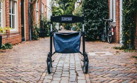 The importance of walking on a daily basis