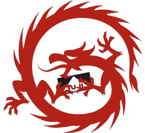 Verzendkosten buiten pakketprijs