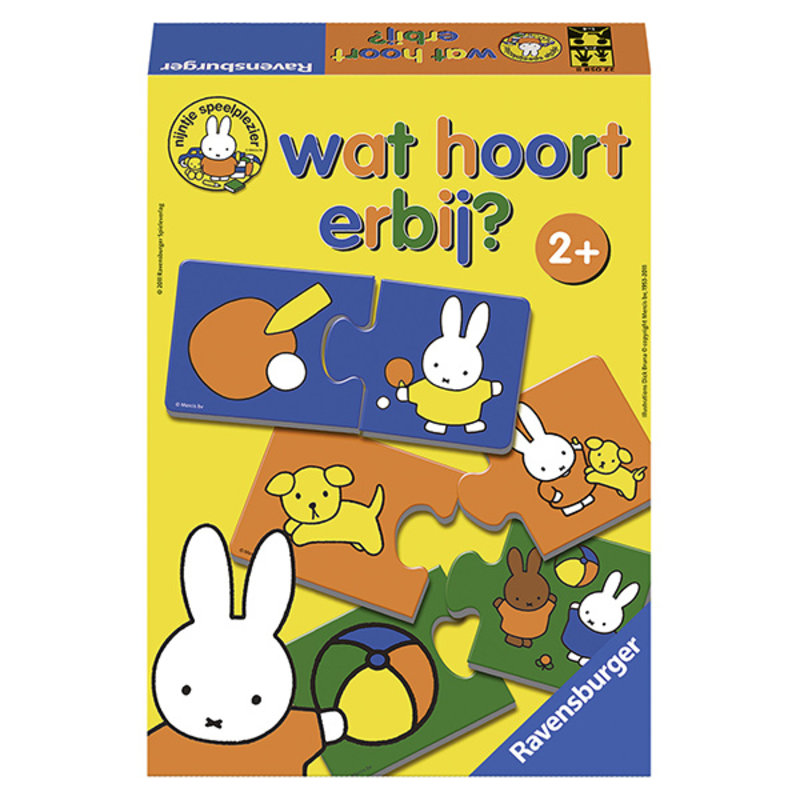 Wat hoort erbij - spel