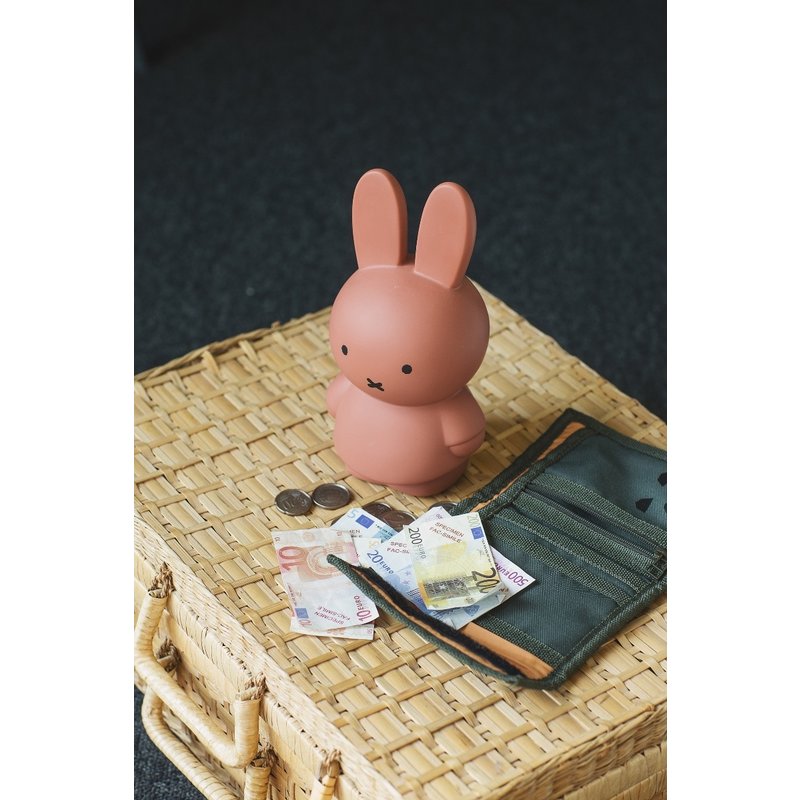 Miffy Money Bank - Terra - M