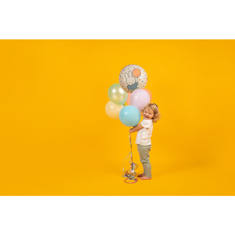 Ballonnen nijntje 5 kleuren