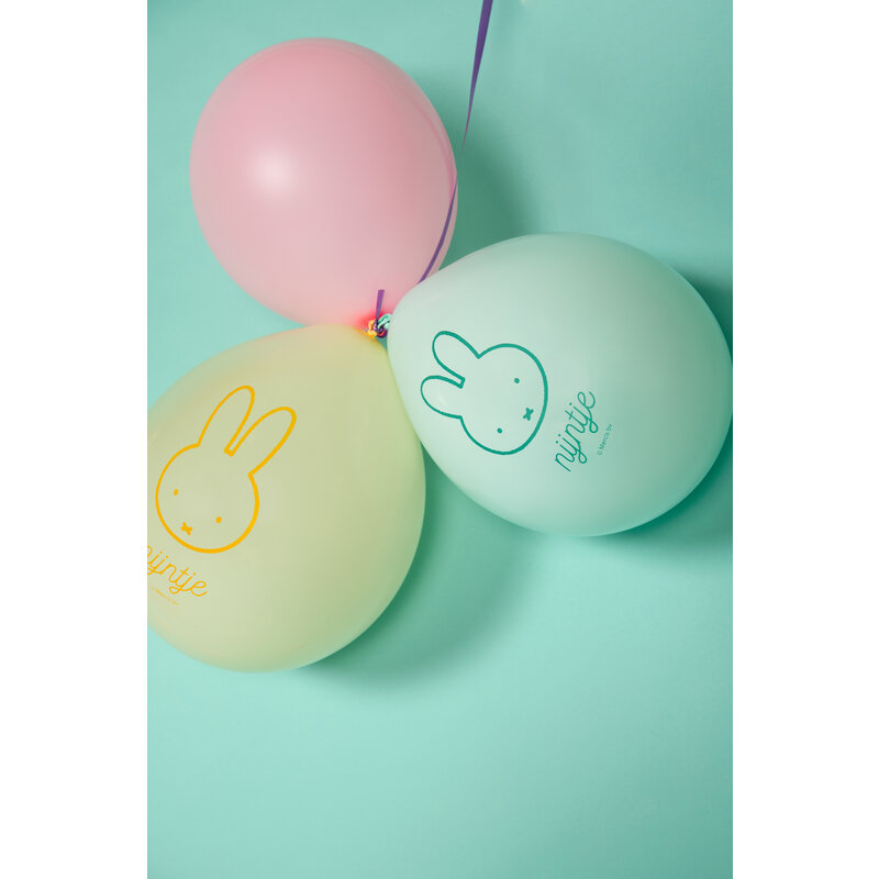 Ballonnen nijntje 5 kleuren
