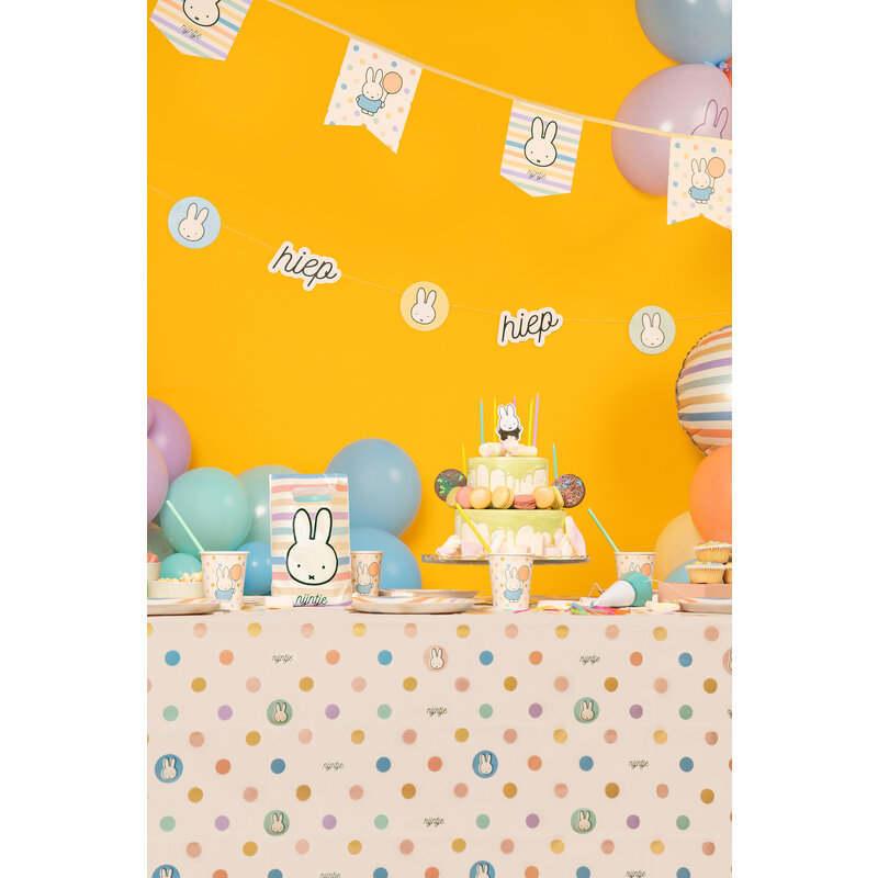 party bags Miffy stripe/dot