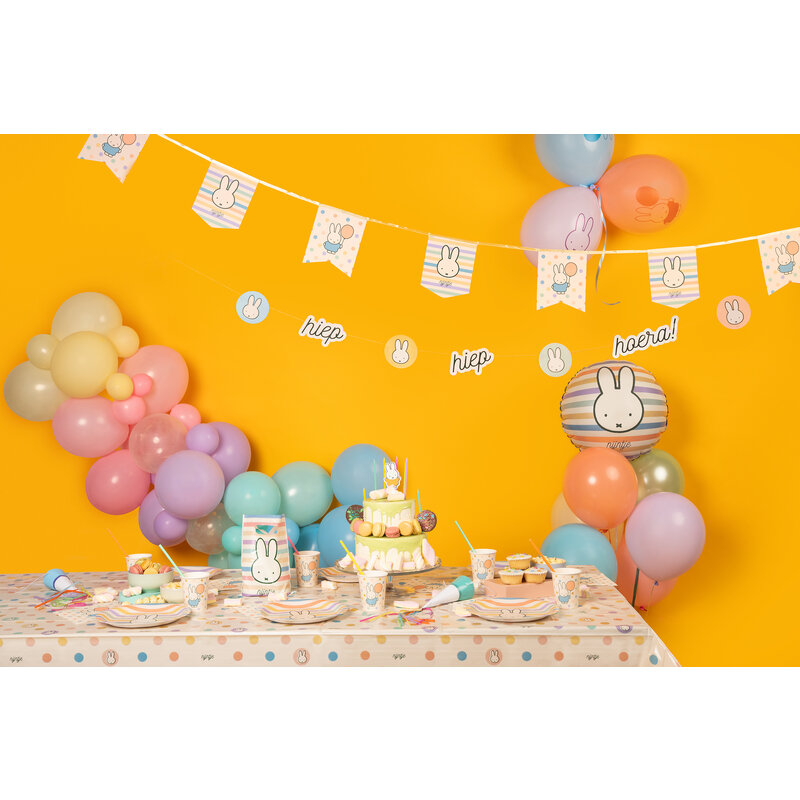 party bags Miffy stripe/dot