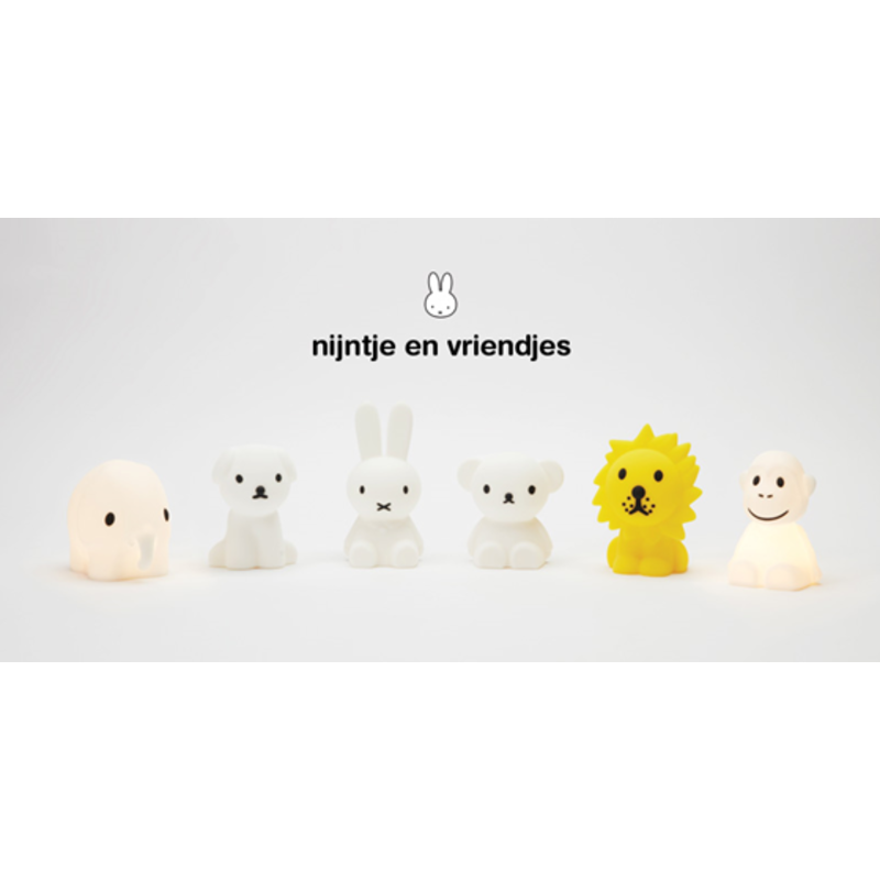 Bundle of light miffy