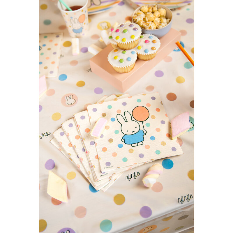 Servetten nijntje streep/stip