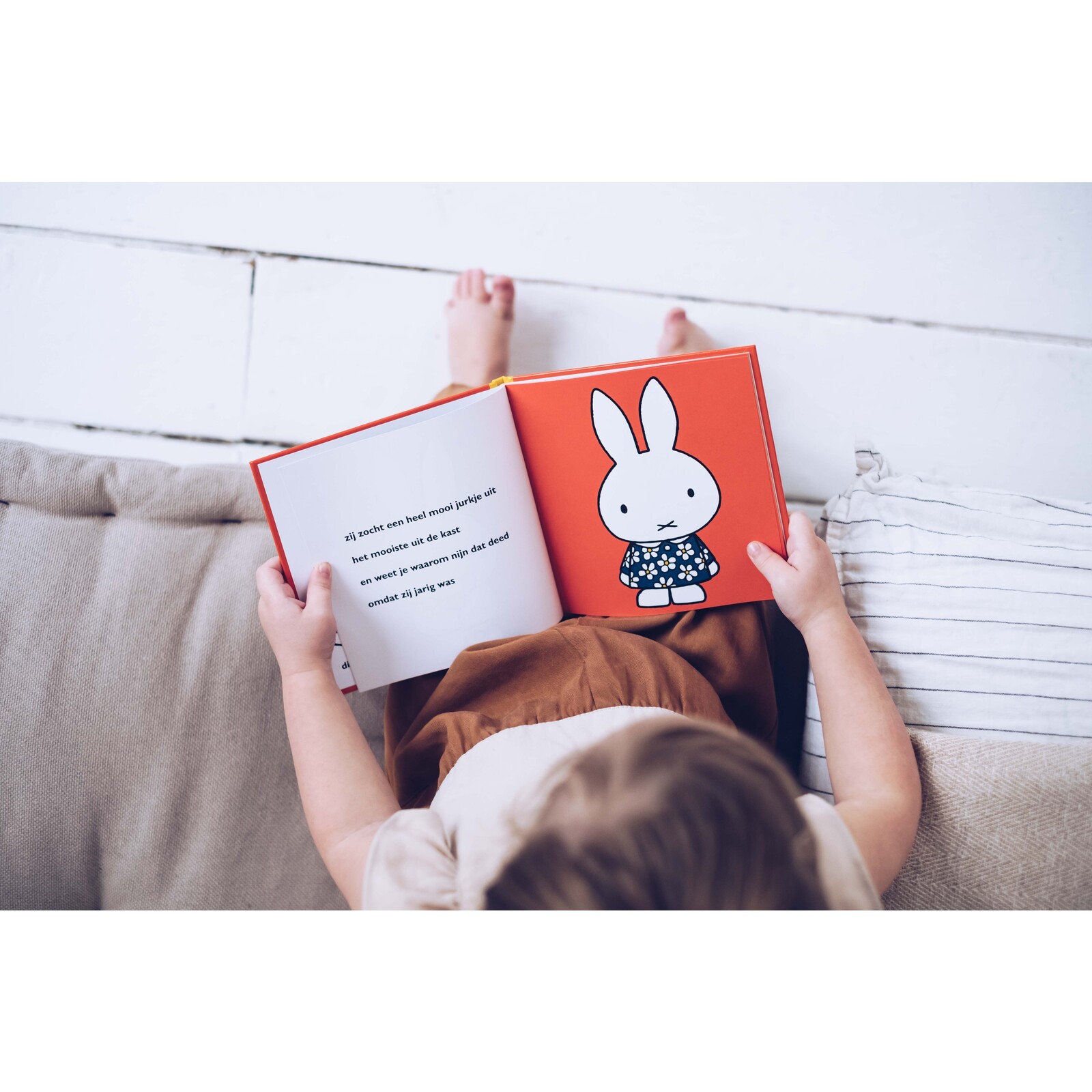 verzamelbundel, nijntjes voorleesfeest (collection bundle, miffy's reading party)