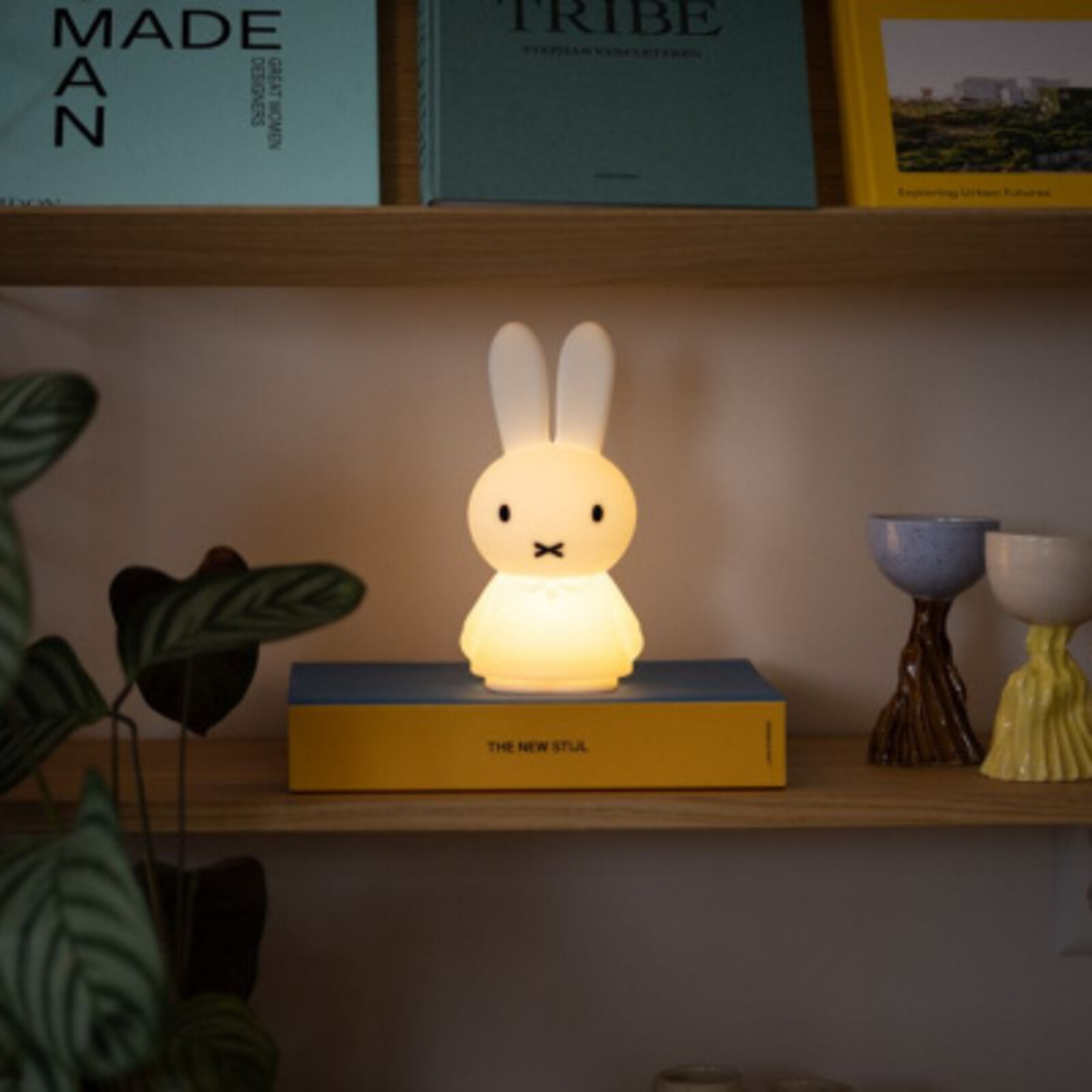 Miffy shines (Miffy glänzt)