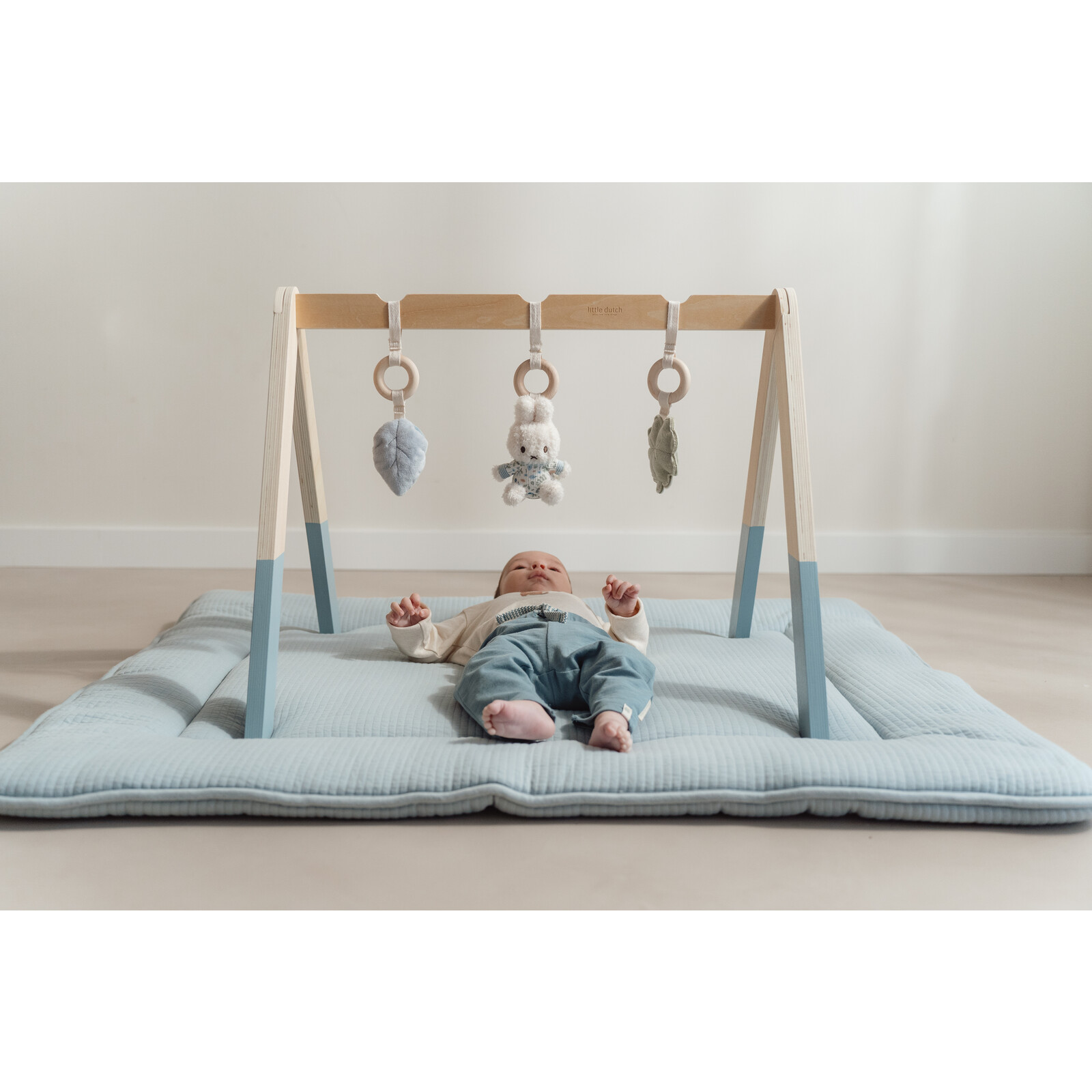 Lucky Leaves babygym