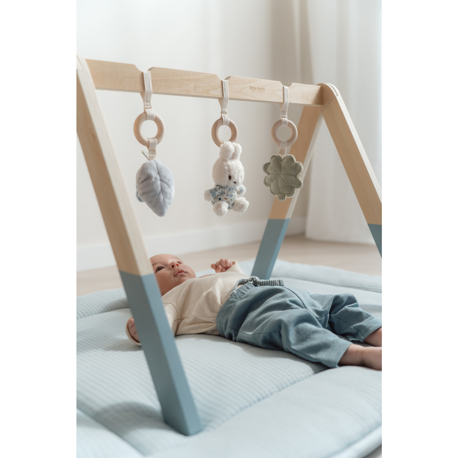 Lucky Leaves Baby-Gym