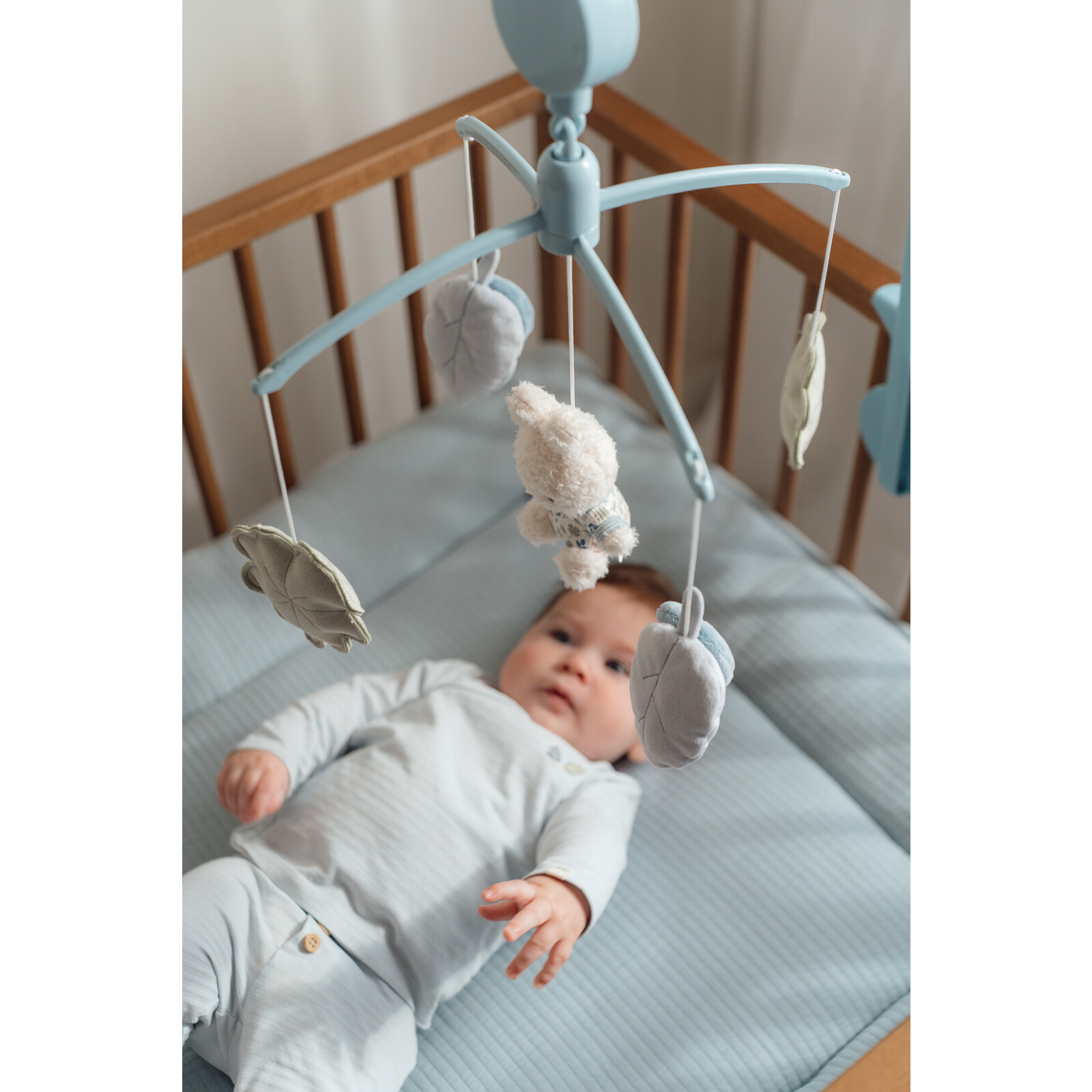 Lucky Leaves Music mobile