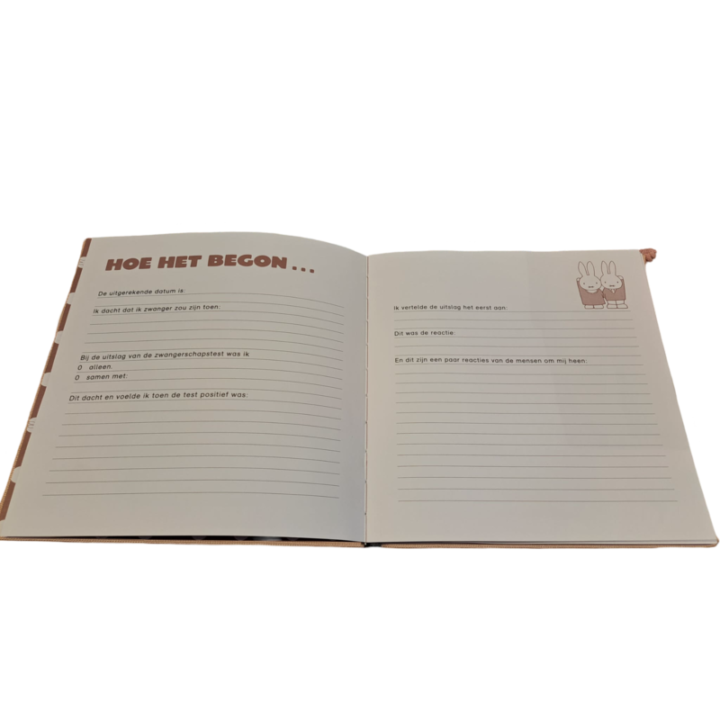 NIETZICHTBAAR mijn zwangerschap