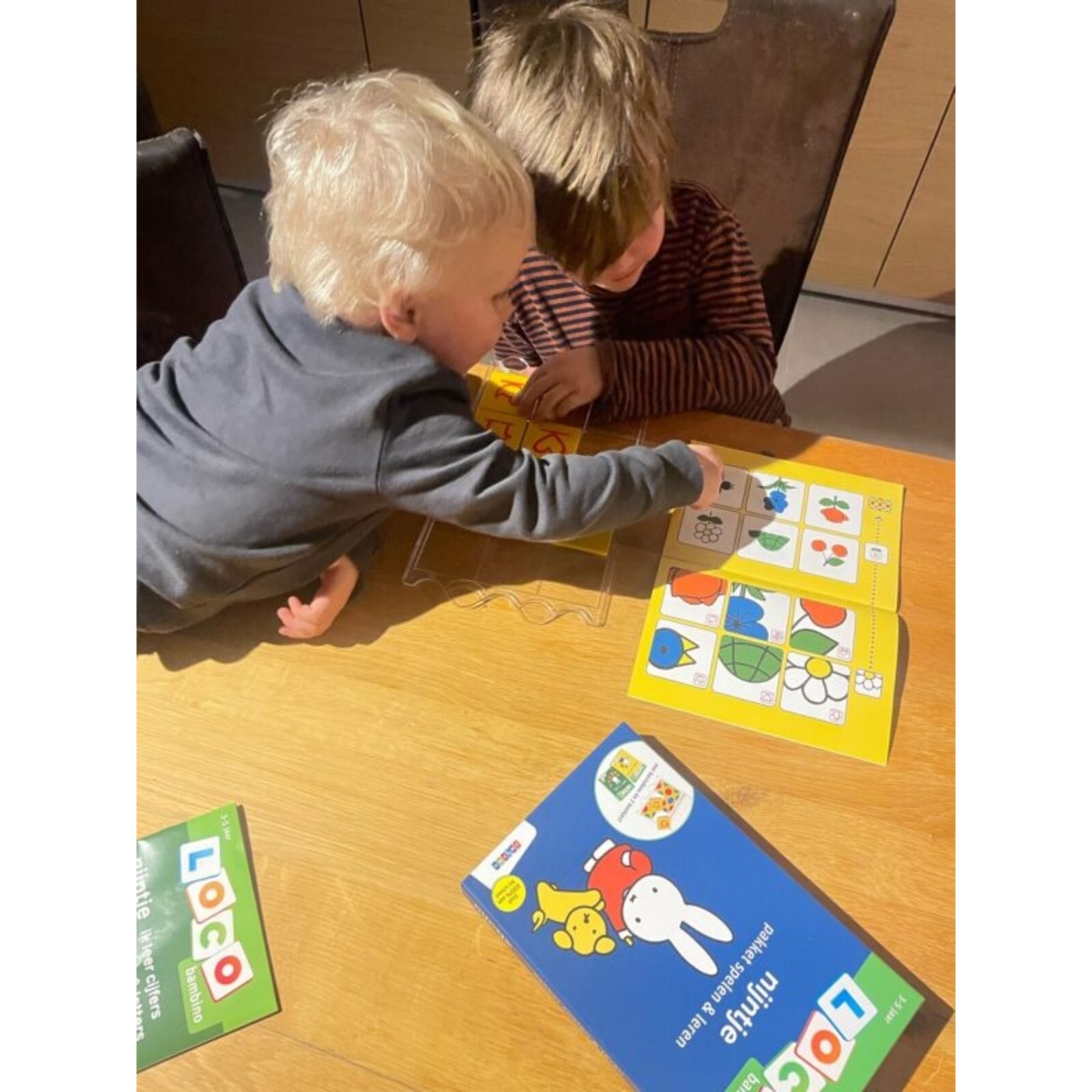 Loco bambino miffy package play & learn