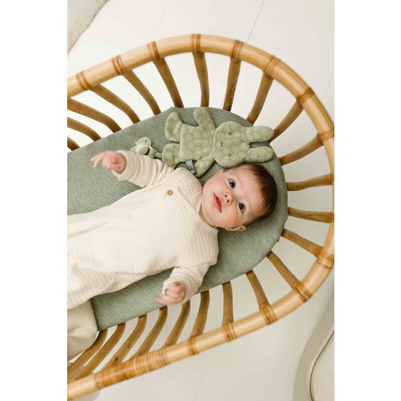 Miffy pacifier cloth green flower