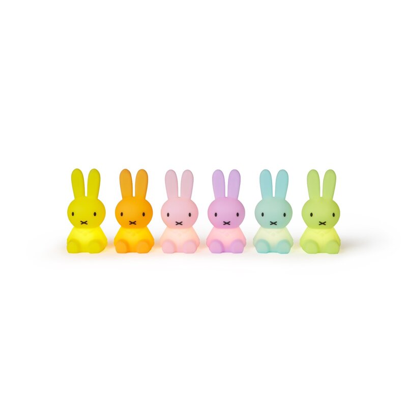 Bundle of light miffy farbenfrohe Überraschungsboxen