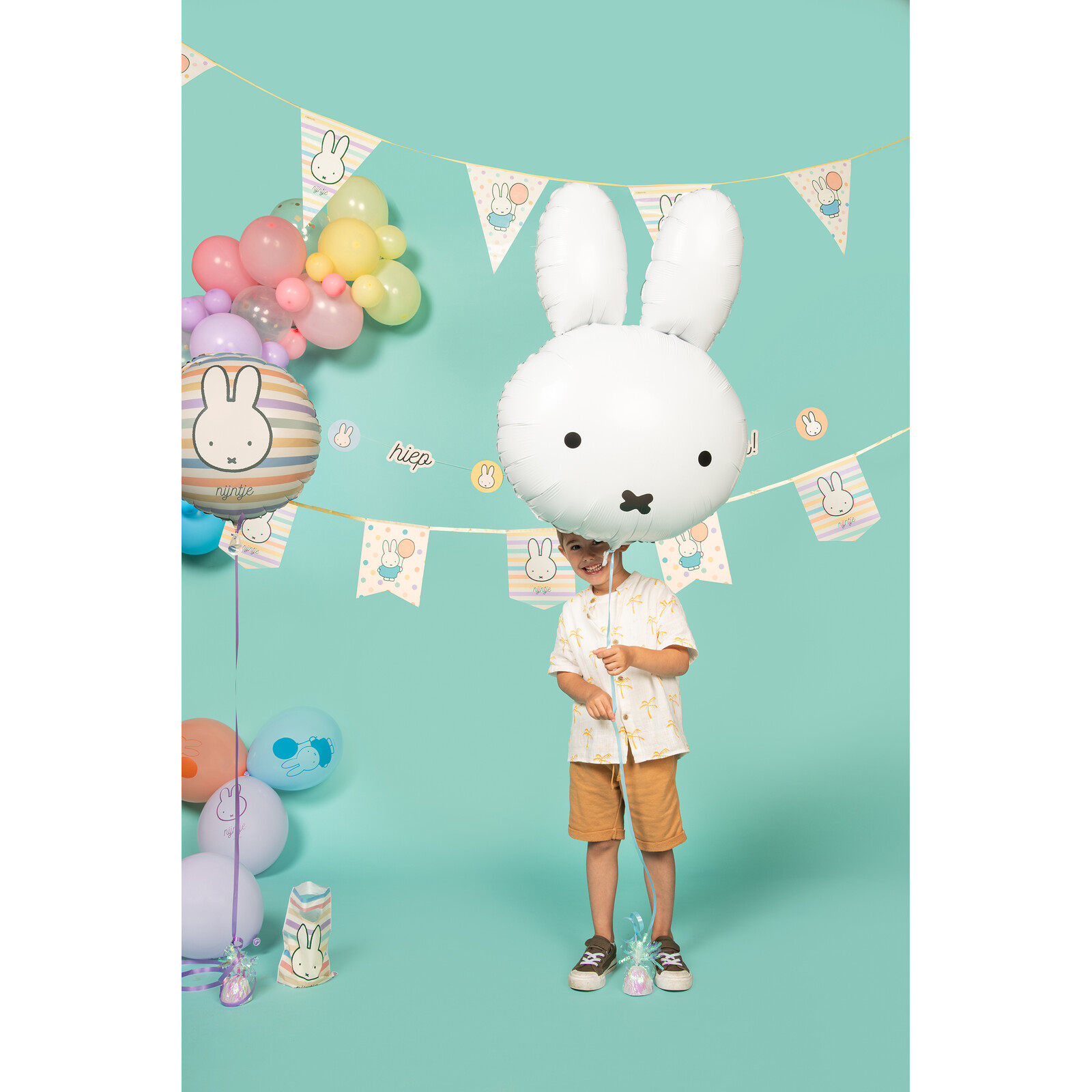 Vlaggenlijn nijntje streep/stip