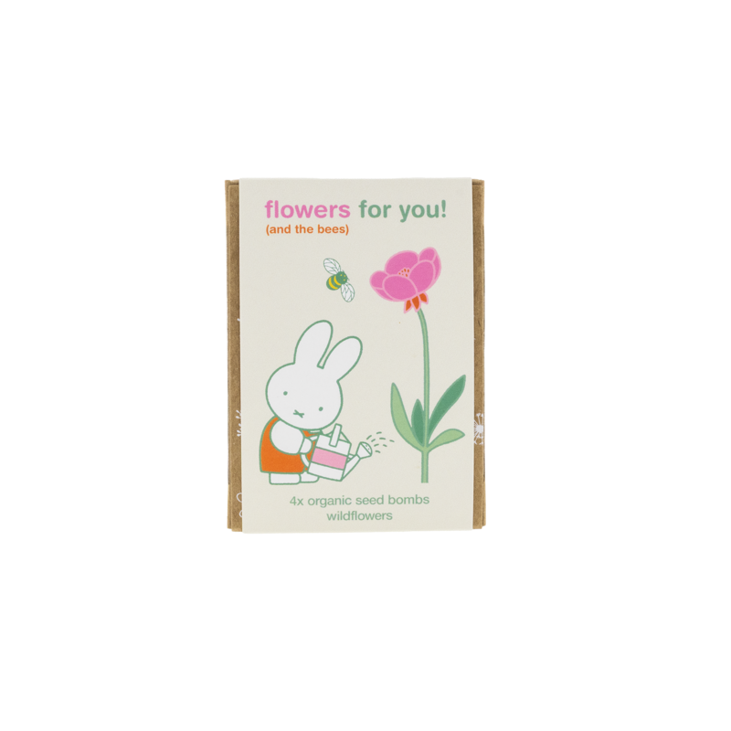 Nijntje Gift Box Mini met 4 bloemenzaad bommetjes - Flowers For You