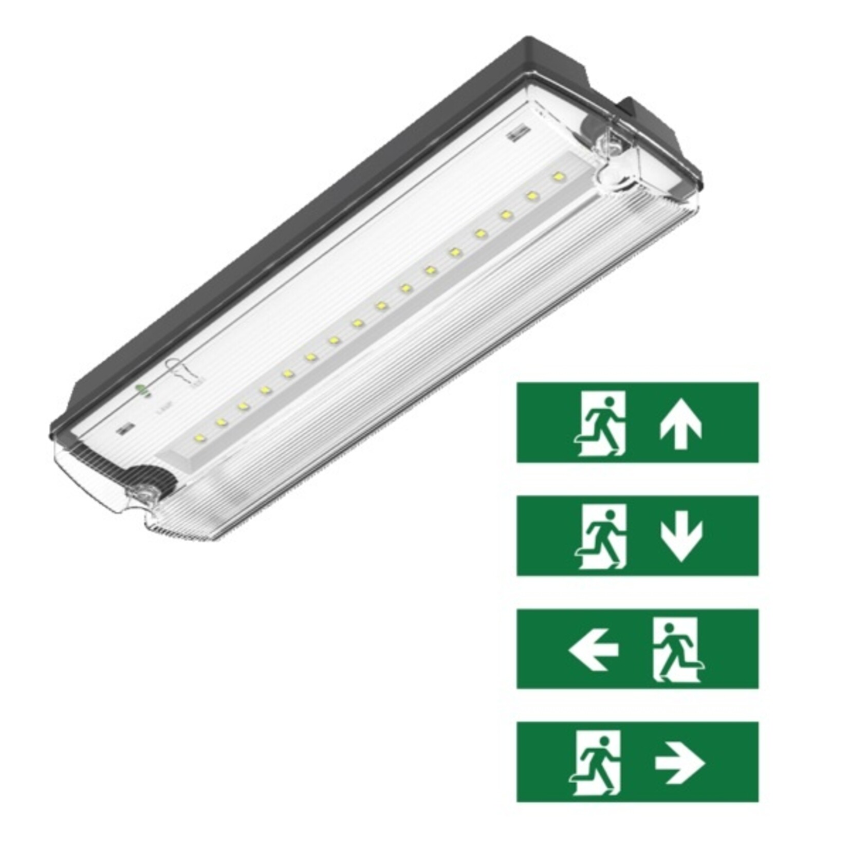 profo Zwarte universele opbouw noodverlichting met 4 pictogrammen