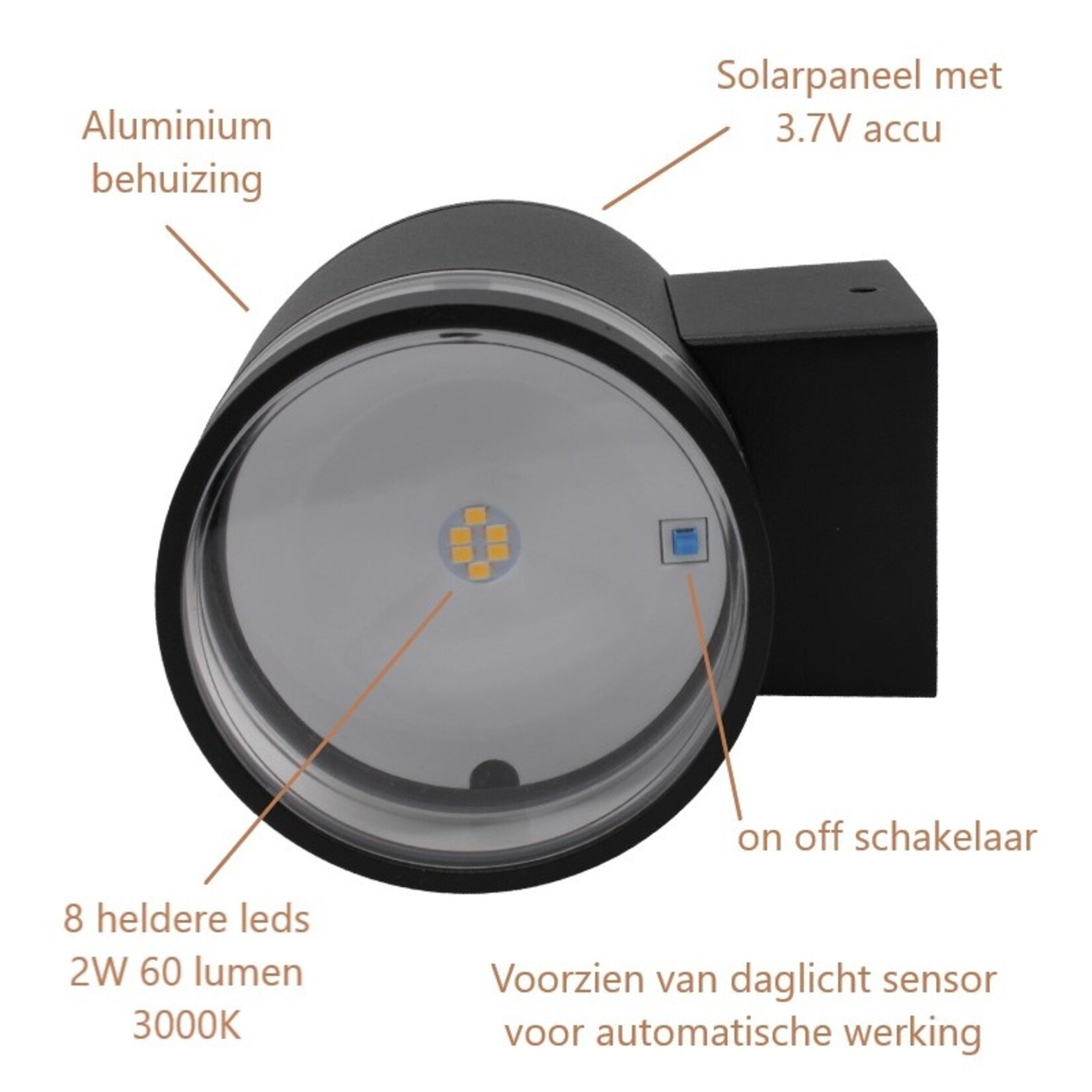 profo Solar wandlamp Dyno met daglichtsensor 2W