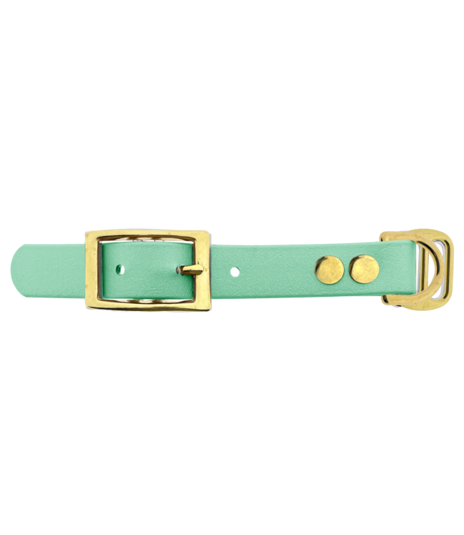 Biothane adapter 19MM Caribbean Green/Brass