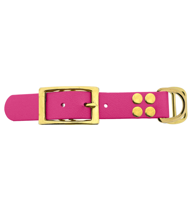 Biothane adapter 25MM Passion Pink/Brass