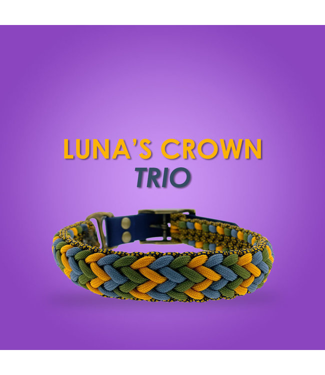 Luna's Crown Trio  Collar - DIY kit