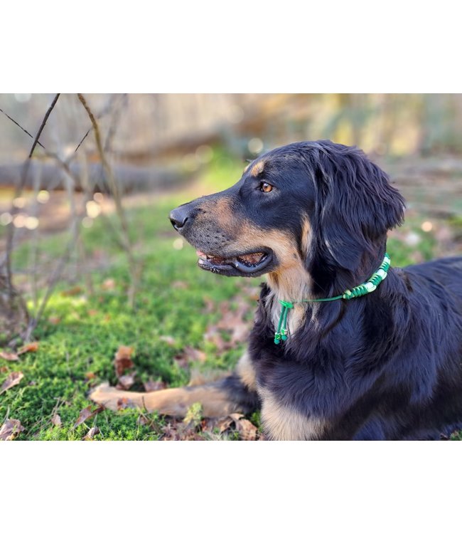 DIY anti-tick collar Kelly Green/Pastel Green