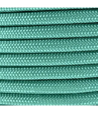 123Paracord 10MM PPM Rope Mint