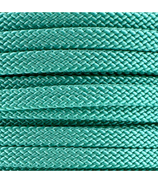 123Paracord 10MM PPM Rope Flat Mint