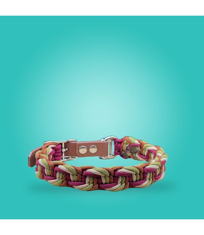 4-Fach Solomon Belly Bar Collar - DIY kit