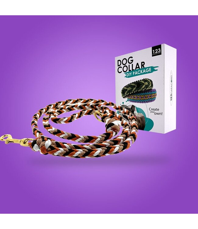 Luna's Crossed Colours  Dog Leash - DIY kit