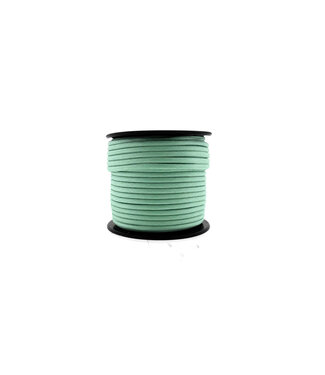 123Paracord Paracord 550 type III Soft Jade-30 mtr