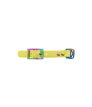 123Paracord Biothane adapter 19MM Pastel Yellow/Neo-Chrome