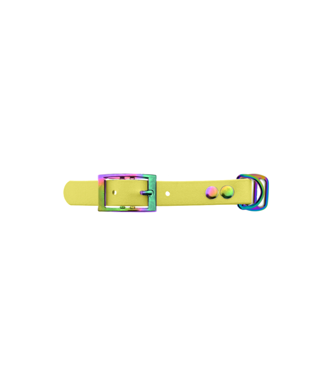 Biothane adapter 19MM Pastel Yellow/Neo-Chrome