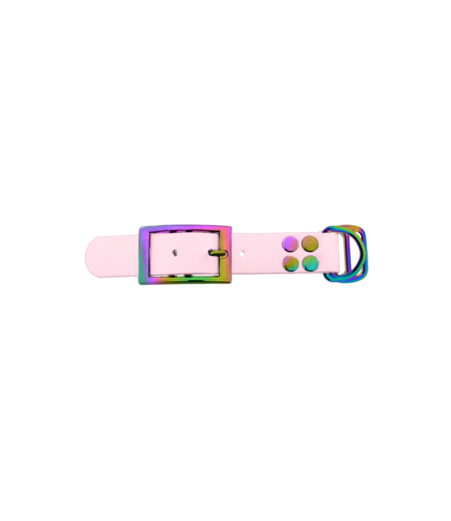Biothane adapter 25MM Dusty Pink/Neo-Chrome
