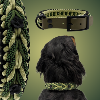 Fonsi's Indian Summer