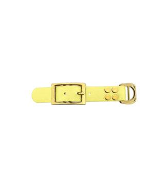 123Paracord Biothane adapter 25MM Pastel Yellow/Brass