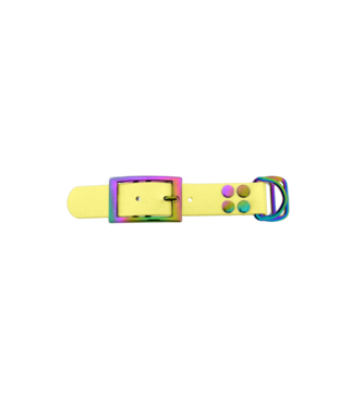 123Paracord Biothane adapter 25MM Pastel Yellow/Neo-Chrome