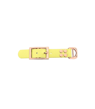 123Paracord Biothane adapter 25MM Pastel Yellow/Rosegold