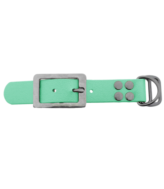 123Paracord Biothane adapter 25MM Caribbean Green/Stainless steel