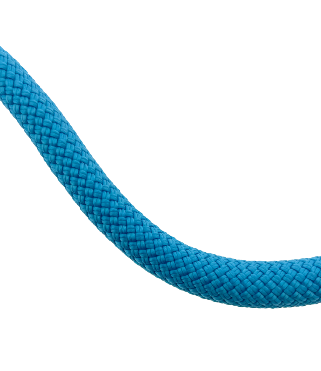 10MM Nylon Dog leash Dark Cyan Premium