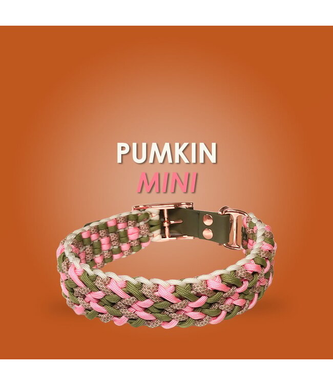 Pumkin Mini Collar - DIY kit